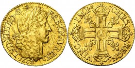 FRANCE, Royaume, Louis XIV (1643-1715), AV louis d'or juvénile à la tête laurée, 1668A, Paris. D/ T. laurée à d., à la longue chevelure couvrante. R/ ...