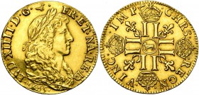 FRANCE, Royaume, Louis XIV (1643-1715), AV louis d'or juvénile du Béarn, 1665, Pau. Type spécial au buste drapé. D/ B. lauré et drapé à d., à la longu...