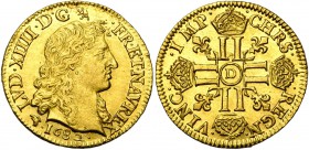 FRANCE, Royaume, Louis XIV (1643-1715), AV louis d'or à la tête nue et virile, 1682D, Lyon. D/ T. juvénile à d. R/ Croix formée de huit L couronnés, c...