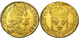 FRANCE, Royaume, Louis XIV (1643-1715), AV double louis d'or à l'écu, 1690A, Paris. Flan neuf. Tranche cordonnée. D/ T. à d., coiffée d'une perruque l...