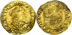 NEDERLAND, GELDERLAND, Hertogdom, Philips II (1555-1581), AV halve gouden reaal, z.j. (1562-1576), Nijmegen. Met PHS op kz. Vz/ Bb. r. Kz/ Gekroond wa...