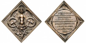 ALLEMAGNE, AE plaquette, 1888. Exposition nationale des arts appliqués de Munich. D/ Génie ailé ten. dans chaque main une couronne. R/ Inscription en ...