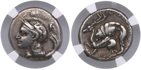Lucania (Velia) AR Nomos / Didrachm (с. 300-280 BC) - NGC VF
Strike: 5/5, Surface: 3/5. Marks. Obv.: Head of Athena to left, wearing crested decorate...