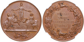 Finland (Russia) Bronze Prize Medal ND (Late 19th - early 20th century) - Vasa County Agricultural Society - NGC MS 62 BN
Medalier: G. Loos (signed G...