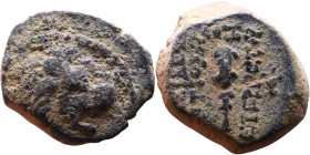 Antiochos VII Sidetes (Seleukid King: 138-129 BC ) bronze coins. Obv.: Head of Lion. Rev.: BAΣIΛEΩΣ ANTIOXOY EYEPΓETOY Club

14mm 3,00g