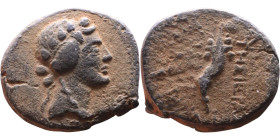 Syria: Apameia ad Orontem Semi-autonomous issue. (I Century BC) Bronze coin. Obv: Head of Dionysus right Rev: cornucopiae

21mm 6,78g

Artificial ...