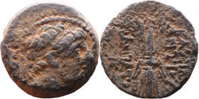 Antiochus IX Cyzicenus (Seleukid King: 114-95 BC). AE bronze. Obv.: diademed head of Antiochus right. Rev.: Titles to right and left of winged thunder...