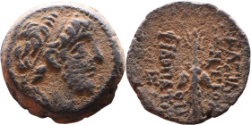 Antiochus IX Cyzicenus (Seleukid King: 114-95 BC). AE bronze. Obv.: diademed head of Antiochus right. Rev.: Titles to right and left of winged thunder...