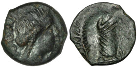 GAUL. Southern. Volcae-Arecomici. (Circa 77-44 BC).
AE Unit (14mm, 2,17g)