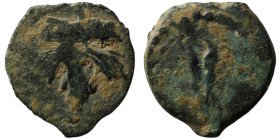 JUDAEA
AE Bronze (12mm, 0,85g)