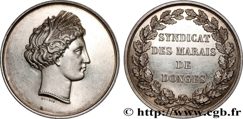 SECOND EMPIRE
Type : Médaille, Syndicat des Marais de Donges 
Date : n.d. 
Metal...