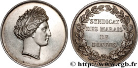 SECOND EMPIRE
Type : Médaille, Syndicat des Marais de Donges 
Date : n.d. 
Metal : silver 
Diameter : 33  mm
Engraver : DUBOIS Alphée (1831-1905) 
Wei...