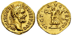 Septimius Severus. Aureus. 193-211 AD. Rome. (Ric-IV 22). (Calicó-2546). (Bmcre-28). Anv.: IMP CAE L SEP SEV PERT AVG, laureate head right. Rev.: VICT...