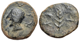 Spain, Arsa (2nd century BC.). Æ As (25mm, 12.22g, 3h). ARSA, crude male head l. R/ WR in Libyan-Phoenician letters, palm branch. ACIP 910; CNH 1.