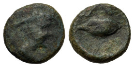 Italy, Lucania, Metapontion, c. 400-340 BC. Æ (10.8mm,1.2g). Head of Hermes r., wearing petasos. R/ Barleycorn. Unpublished in the standard references...