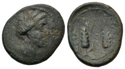 Italy, Lucania. Metapontion, c. 225-200 BC. Ae (21.7mm,8.8g). Head of Demeter r., wearing grain wreath. R/Two grain ears. Johnston 79; HN Italy 1715.
