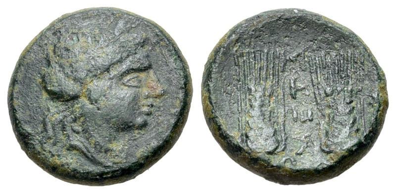 Italy, Lucania, Metapontion, c. 225-200 BC. Æ (17mm, 4.66g). Wreathed head of De...