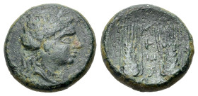 Italy, Lucania, Metapontion, c. 225-200 BC. Æ (17mm, 4.66g). Wreathed head of Demeter r. R/ Two grain ears; META up center field, [bird to r.]. Johnst...