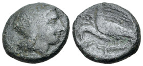 Sicily, Akragas. Phintias (287-279 BC). Æ (20mm, 6.89g). Laureate and beardless head of Zeus Hellanios r. R/ Two eagles standing l. on dead hare, one ...