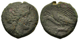 Sicily, Akragas (275-240 BC). Æ (21mm,8.7g). Laureate head of Apollo r. R/ Two eagles standing r., devouring dead hare upon which they stand. BAR issu...