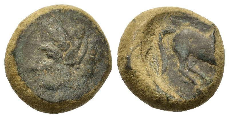 Sicily, Eryx, c. 4th century BC. Æ (14.4mm,4.5g). Female head l. R/ Horse gallop...