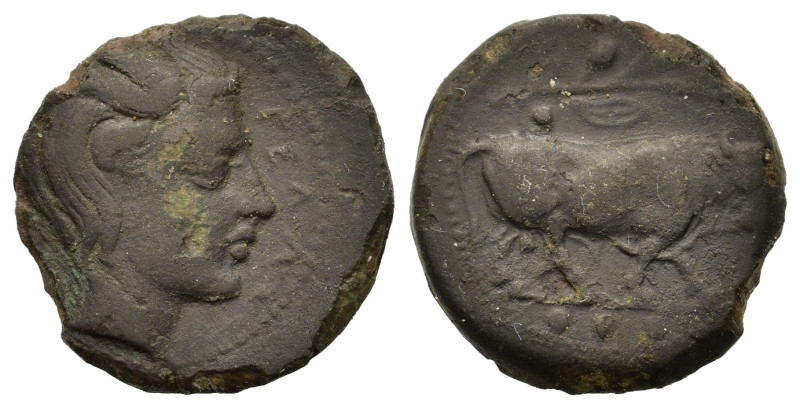 Sicily, Gela, c. 420-405 BC. Æ Tetras (17mm,3.4g). Bull r.; olive branch above, ...