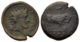 Sicily, Gela, c. 420-405. Æ Tetras (15.5mm,2.6g). Head of river god r.R/ Bull standing r., three pellets beneath. CNS III, p. 13, 18; SNG ANS 112-114....