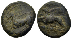 Sicily, 'Kainon', c. 360-340 BC. Æ (20mm,10.1g). Griffin springing to l. R/ Horse prancing to l., reins loose; . Campana 1; CNS 1; SNG ANS 1169; AMB 3...