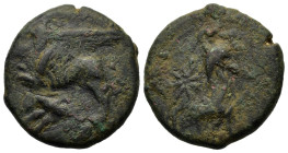 Sicily, "Kainon", c. 360-340 BC. Æ (19.7mm,8.5g). Griffin springing l.; below, grasshopper l. R/ Horse prancing l., trailing rein; star above. Campana...