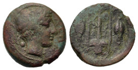 Sicily, Leontinoi, c. 405-402 BC. Æ Tetras (15.4mm,3g). Laureate head of Apollo r., ΛEON before, olive-branch behind. R/ Tripod, kithara behind legs, ...