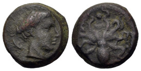 Sicily, Syracuse, after c. 425. Æ Tetras (14.4mm,3.3g). Head of Arethusa r.; dolphins around. R/ Octopus; pellet above and on either side. CNS II p. 2...