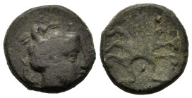 Sicily, Syracuse, after c. 425. Æ Tetras (15.5mm,3g). Head of Arethusa r.; dolphins around. R/ Octopus; pellet above and on either side. CNS II p. 21,...