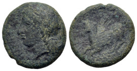 Sicily, Syracuse. Time of Timoleon and the Third Democracy, c. 344-317 BC. Æ (17.2mm,4.7g). Laureate head of Apollo to l., uncertain symbol to r. R/ P...