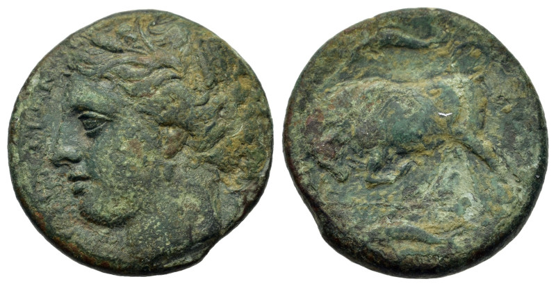 Sicily, Syracuse. Agathokles, c. 317-310 BC. Æ Hemilitron (20mm,5.3g). Wreathed ...