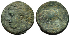 Sicily, Syracuse. Agathokles, c. 317-310 BC. Æ Hemilitron (20mm,5.3g). Wreathed head of Persephone r.. R/ Bull butting r.; above and below, dolphin r....