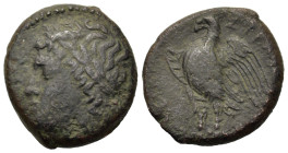 Sicily, Syracuse. Time of Hiketas, c. 287-278 BC. Æ (19.6mm,7.7g). Laureate head of Zeus Hellanios to l. R/Eagle standing to l. on thunderbolt. CNS II...