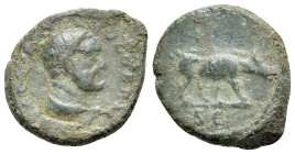 Trajan (98-117). Æ Quadrans (16mm, 3.06g, 6h). Rome, c. 98-102. Diademed bust of Hercules r., wearing lion skin. R/ Boar walking r. RIC II 702. Green ...