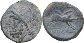 Greek Italy. Northern Apulia, Arpi. AE 22 mm, c. 325-275 BC. Obv. ΔΑΖΟΥ. Laureate head of Zeus left; behind, thunderbolt. Rev. Wild boar right; above,...