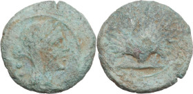 Greek Italy. Northern Apulia, Luceria. AE Biunx, c. 211-200 BC. Obv. Veiled and wreathed head of Ceres right; behind, two pellets. Rev. Scallop shell;...