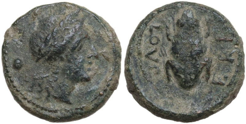 Greek Italy. Northern Apulia, Luceria. AE Uncia, c. 211-200 BC. Obv. Laureate he...