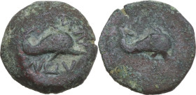 Greek Italy. Northern Apulia, Salapia. AE 14 mm, c. 275-250 BC. Obv. Dolphin swimming right; below, ΣΑΛΑΠΙΝΩΝ. Rev. Dolphin swimming right; three pell...