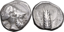 Greek Italy. Southern Lucania, Metapontum. AR Distater, c. 340-330 BC. Obv. Helmeted head of Leukippos right; to left, forepart of lion right and AΠH....