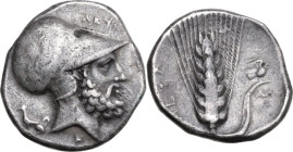 Greek Italy. Southern Lucania, Metapontum. AR Stater, c. 340-330 BC. Obv. ΛEΥKIΠΠOΣ. Head of bearded Leukippos right, wearing Corinthian helmet; behin...