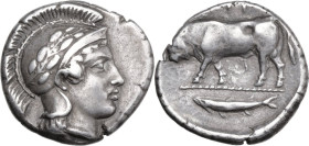 Greek Italy. Southern Lucania, Thurium. AR Stater, c. 443-400 BC. Obv. Head of Athena right, wearing Attic helmet decorated with laurel branch. Rev. Θ...