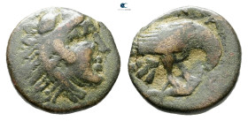 Kings of Macedon. Uncertain mint. Amyntas III 393-369 BC. Bronze Æ
