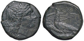 GRECHE - SICILIA - Agrigento - Phintia (287-279) - AE 20 Mont. 3923; S. Cop. 29 (AE g. 8,75)

Status: BB+

Notes: