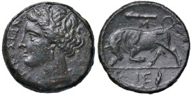 GRECHE - SICILIA - Siracusa - Agatocle (317-289 a.C.) - AE 22 (AE g. 6,55)

Status: bel BB

Notes: