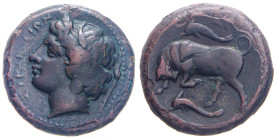 GRECHE - SICILIA - Siracusa - Agatocle (317-289 a.C.) - AE 22 Mont. 5119; S. Ans. 564 (AE g. 10,09)

Status: BB

Notes: