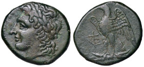 GRECHE - SICILIA - Siracusa - Icetas (287-278 a.C.) - AE 23 Mont. 5231; S. Ans. 813 (AE g. 8,49)

Status: BB+/BB

Notes: