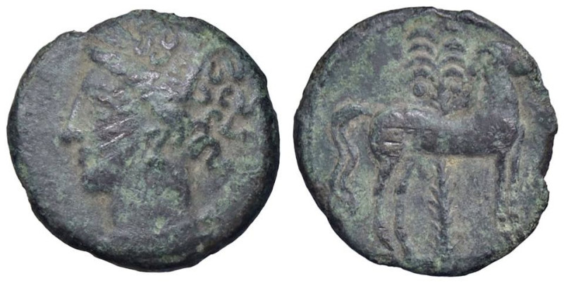 GRECHE - SICILIA - Siculo-Puniche - AE 16 Mont. 5543; S. Cop. 1002 (AE g. 2,24) ...